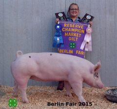 Wednesday, July 6th at the Berlin Fair